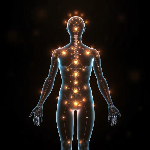 Akupunktur für systemische Gesundheit